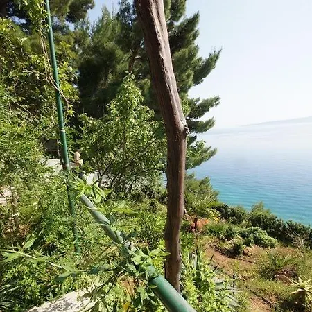 Mmbrf-75-1 -30 M2 Apartamento Brela