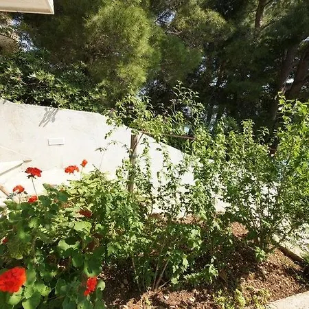 Mmbrf-75-1 -30 M2 Apartamento *